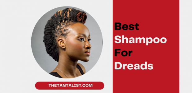 best shampoo for dreads