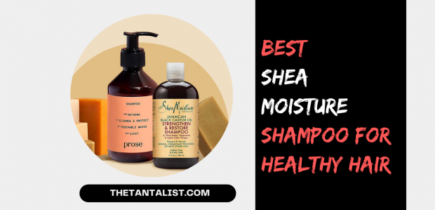 10 Best Shea Moisture Shampoo for healthy hair