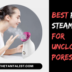 10 Best Facial Steamer for Unclogging Pores