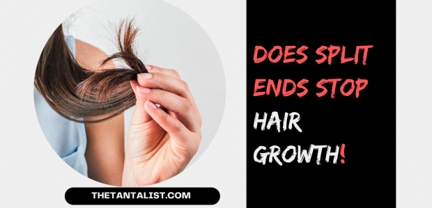 Does Split Ends Stop Hair Growth